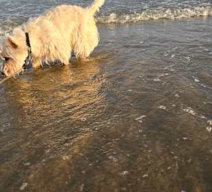 Einfach ein Traum für mich