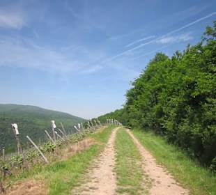 Impressionen Kräuterweg in Assmannshausen