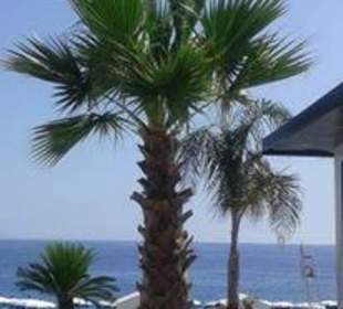 Stabilimento balneare Bellariva Luxury Beach