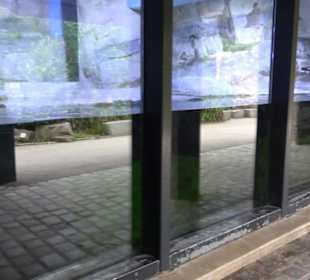 Tierpark Hellabrunn - Polarwelt