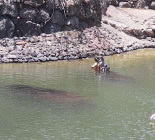 Da möchte man nicht drinne landen