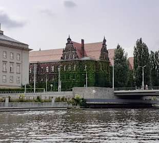 Ausblicke von der Bootstour auf der Oder