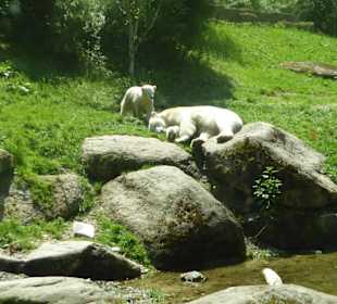 Tierpark Hellabrunn