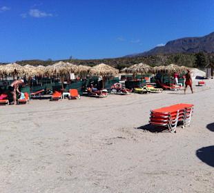 3,50,-€ pro Liege / Tag