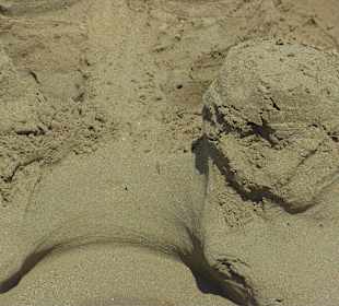 Alles Bauwerk von kleinen und großen Architekten