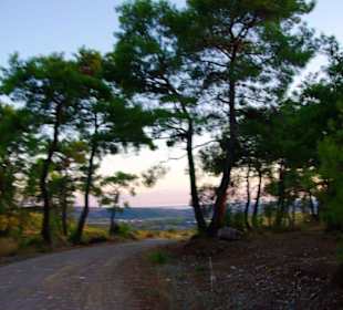 Sulahikulle - Vergessen Stadt