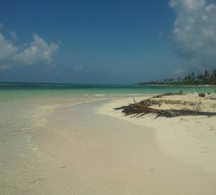 Saona