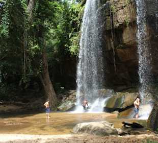 Sheldrick falls shimba hills