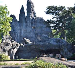 Tierpark Hagenbeck