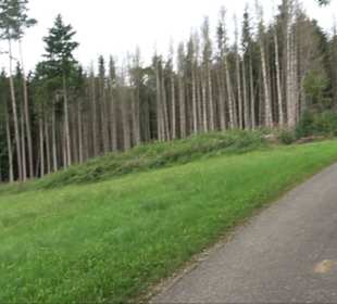 Sonnenaufgangs-Rundwanderung Rübgarten