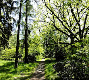 Spaziergang durch den Forstbotanischen Garten