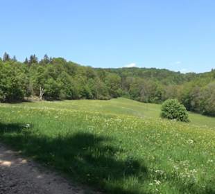 Premiumwanderweg Hochgehschätzt