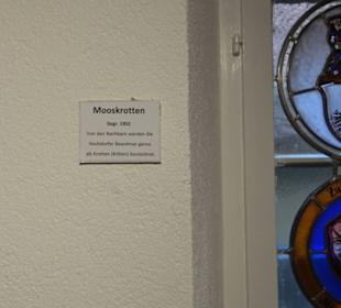 Fasnetmuseum