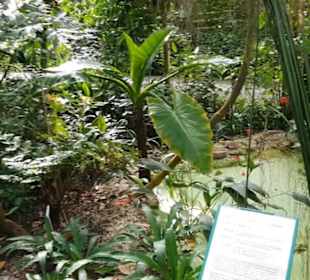 Botanischer Garten