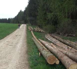 Wanderweg Kunst der kleinen Schritte