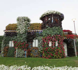 Miracle Garden