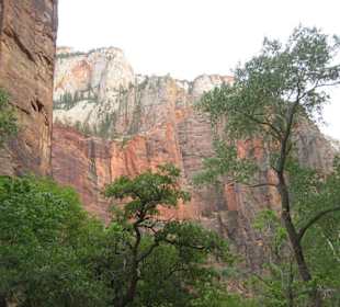Zion National Park