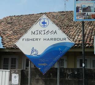 Mirissa