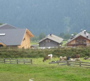 Houfa Hitte
