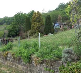 Naturinfopfad Weggental