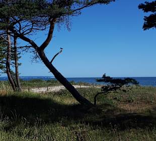 Wandern Baabe [Rügen]