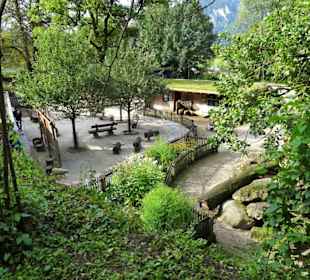 Der Streichelzoo-Bereich