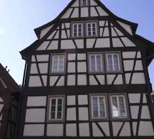 Museum unterm Trifels