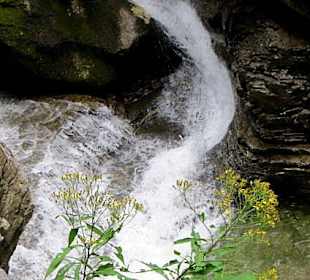 Der Felsen bestimmt die Richtung des Wassers
