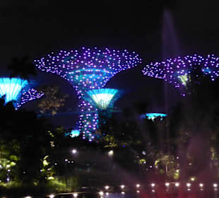 Gardens by the Bay