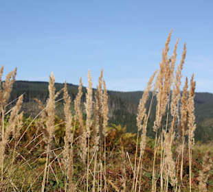 Droga na Baranią Górę