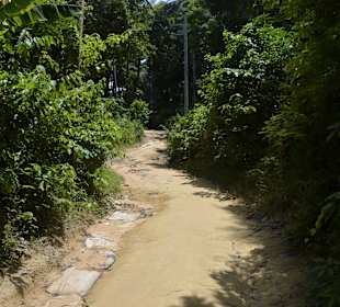 Weg nach oben