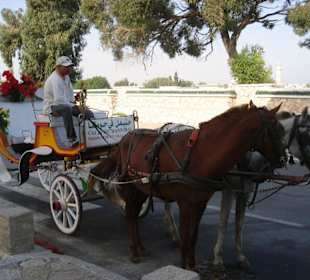 Warten auf Kundschaft vor dem Mausoleum