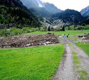 Lawinenausläufer im Ridnauntal