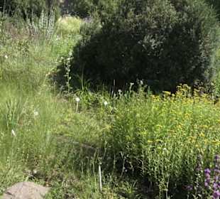 Botanischer Garten