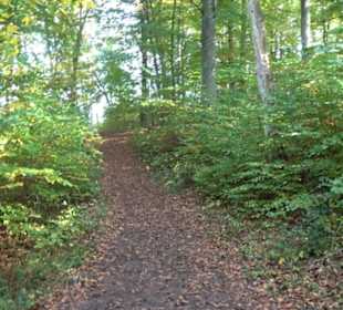 Sonnenfels Sankt Johann