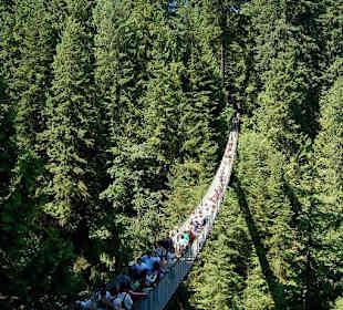 Capilano Suspension Bridge
