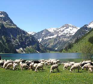 Naturschutzgebiet Vilsalpsee & d. Hobby d. Familie