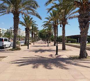Promenade nach Jasmine