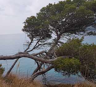 Höhlen von Arta/Cuevas de Artá