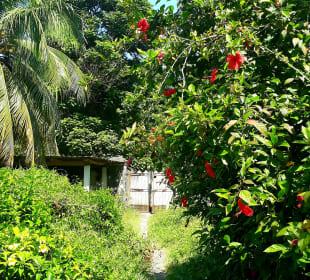 People’s Palace Museum