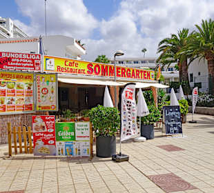 Aussicht auf Sommergarten