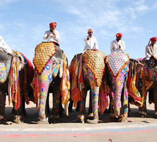 Elefant  Festival in Jaipur
