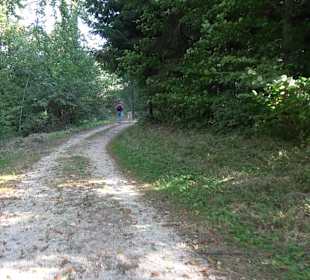 Der Bussen - heiliger Berg Oberschwabens Offingen