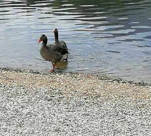 Wandern Levico Terme