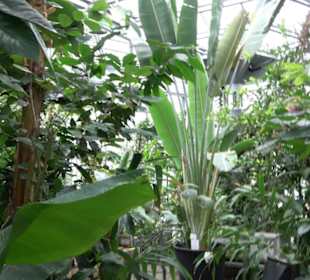 Tropicarium