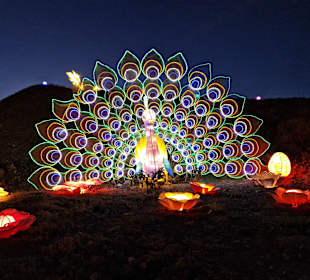 Chinese Lantern World ~ Light Show Tenerife