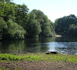 Der nördliche Seeteil