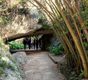 Rundgang im Steinbruch