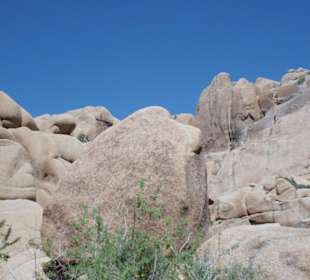 Jumbo Rocks