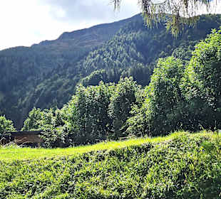 Direkt am Plöckenpass